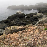 IMG6885.jpg