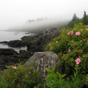 IMG6894.jpg