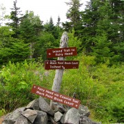 IMG6897.jpg