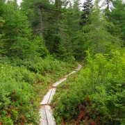 IMG6902.jpg