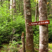 IMG6903.jpg