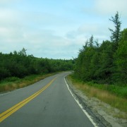 IMG6905.jpg