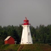 IMG6911.jpg