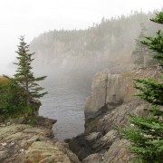 IMG6939.jpg