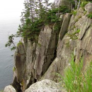 IMG6942.jpg