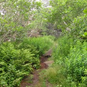 IMG6951.jpg