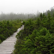 IMG6957.jpg