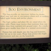 IMG6960.jpg