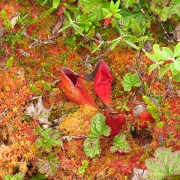 IMG6964.jpg