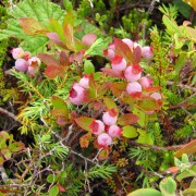 IMG6968.jpg