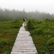 IMG6979.jpg