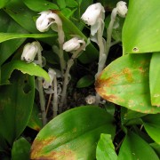 IMG6989.jpg