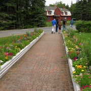 IMG7044.jpg