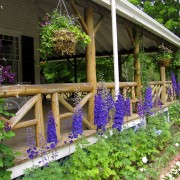 IMG7059.jpg