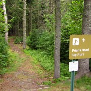 IMG7063.jpg