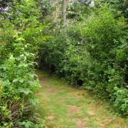 IMG7064.jpg
