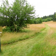 IMG7068.jpg