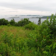 IMG7081.jpg