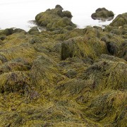 IMG7091.jpg