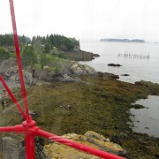 IMG7105.jpg