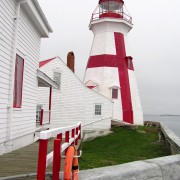 IMG7115.jpg
