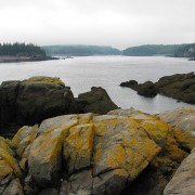 IMG7120.jpg