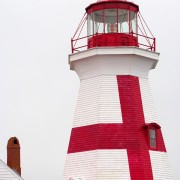 IMG7121.jpg