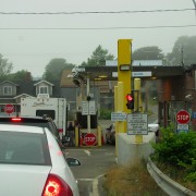 IMG7136.jpg