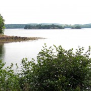 IMG7157.jpg