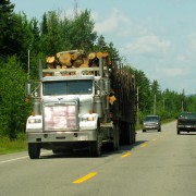 IMG7175.jpg