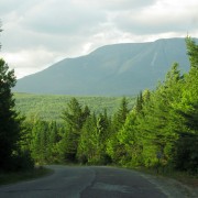 IMG7231.jpg