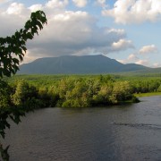 IMG7234.jpg