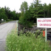 IMG7242.jpg