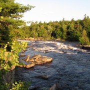 IMG7251.jpg
