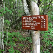 IMG7259.jpg