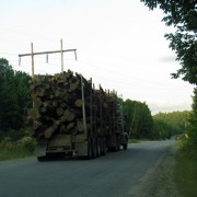 IMG7261.jpg