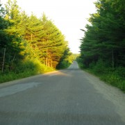 IMG7264.jpg
