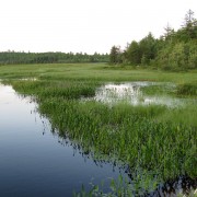 IMG7265.jpg