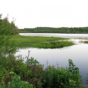 IMG7266.jpg
