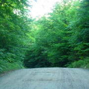 IMG7281.jpg