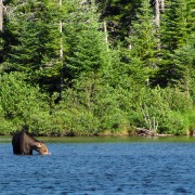 IMG7288.jpg