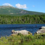 IMG7297.jpg