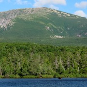 IMG7300.jpg