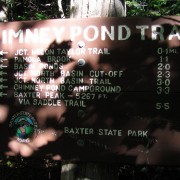 IMG7302.jpg