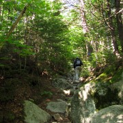 IMG7307.jpg