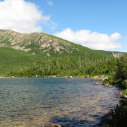 IMG7312.jpg