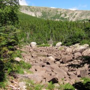 IMG7328.jpg