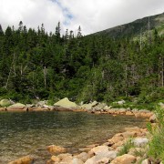 IMG7333.jpg