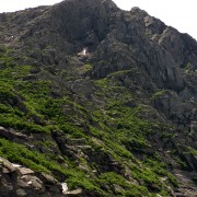 IMG7359.jpg