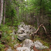 IMG7378.jpg